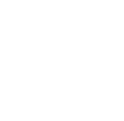 Embers to Bloom